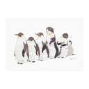 トコロコムギ 夏柄 ポストカード【ペンギン】