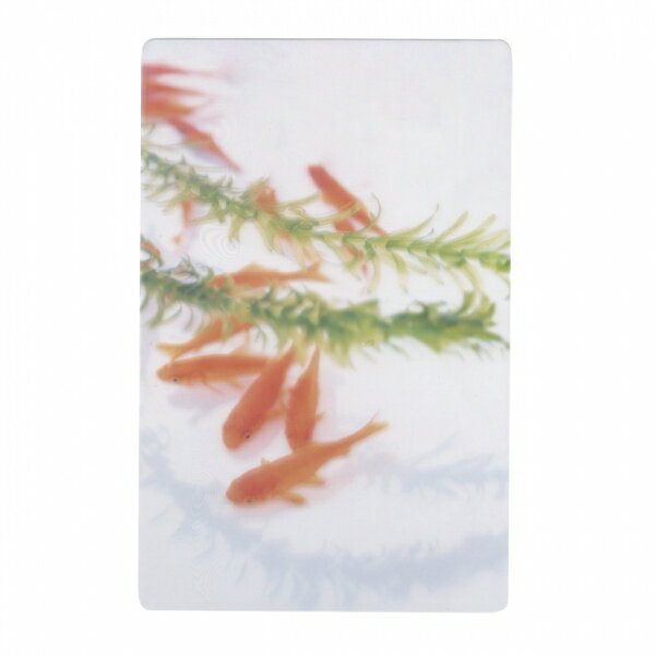 樂天商城 - 安堂 真季 透明写真栞【小赤と水草】ブックマーク