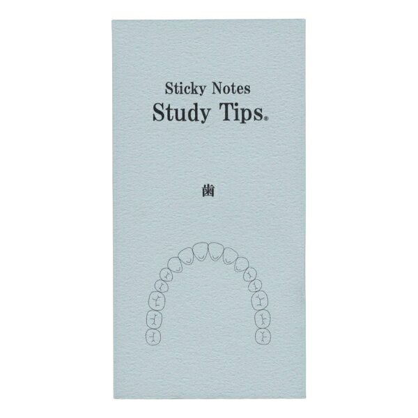 紙季彩々Sticky Note Study Tips【歯】学用 付箋