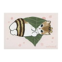 mofusand/モフサンド 春柄 ポストカード 【PX-147h】ぢゅの かわいい ねこ