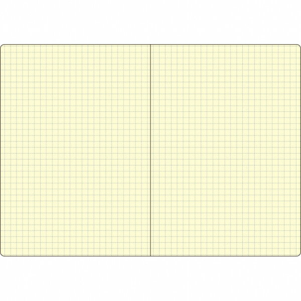 2026年 手帳 3月始まり 月間 ロルバーンノートダイアリー B6 アクア【炭酸水】