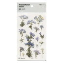 Pressed Flower Stickers /押し花 ステッカー【モスフロックス】