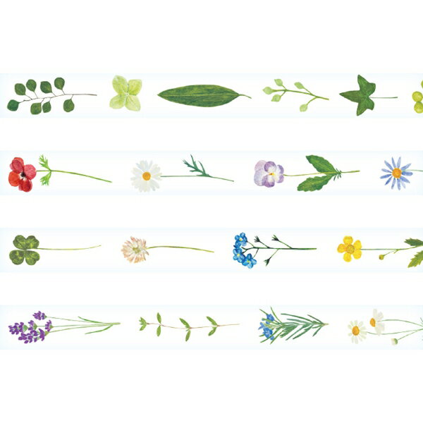 ���ڲ�/������å� ��Ǥ������Ʃ���ơ��� 20mm���ڥΥΥϥʡ�