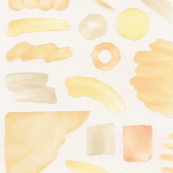 �ޥ���ɥ������� ���������������mimosa yellow�ۿ�� Ʃ���� �ȥ졼���󥰥ڡ��ѡ� 80980