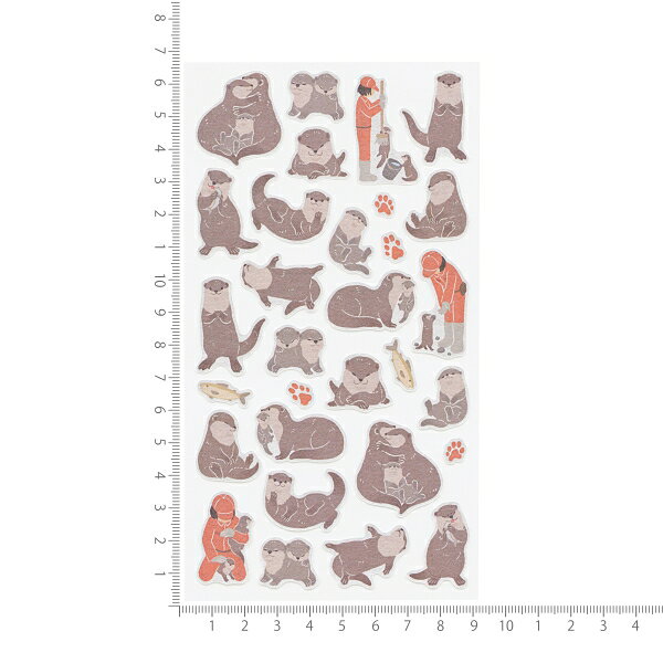ズームインアニマル シール大【コツメカワウソ】かわいい 動物の商品画像 2
