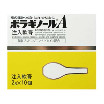 いぼ痔・きれ痔(さけ痔)の痛み・出血・はれ・かゆみの緩和「ボラギノールA注入軟膏2g×10個」第2類医薬品4987123134798