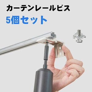 KeeGo 送料無料 レールビス　ロールスクリーン　カーテンレール取付用ビス　5個セット