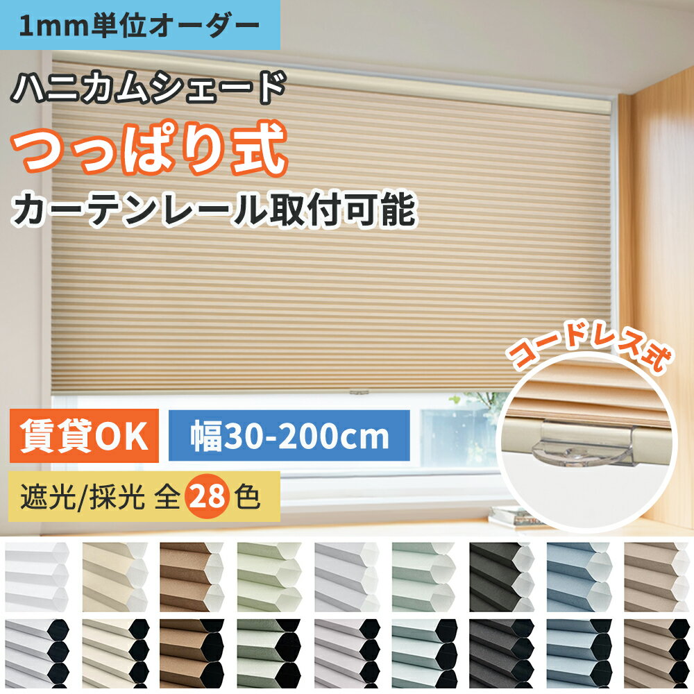 【本日限定】KeeGoハニカムスクリーンが12%OFF＆P7倍！