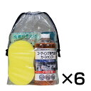 コーティング専門店の洗車セット(1箱6袋入り)