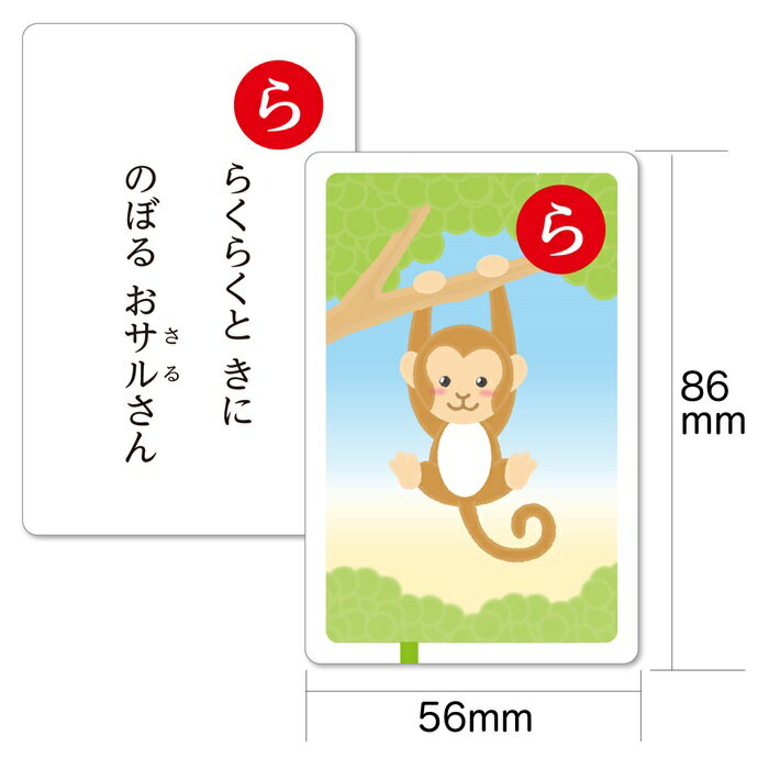 ������Τ��뤿(5�Ĥޤǥ᡼���ز�) �����ƥå� ���뤿 ������ �����ɥ����� �ݰ�� ������ ���ձ� �Ҥɤ� �ؽ� ���饹�� �Ҥ餬�� ʿ��̾