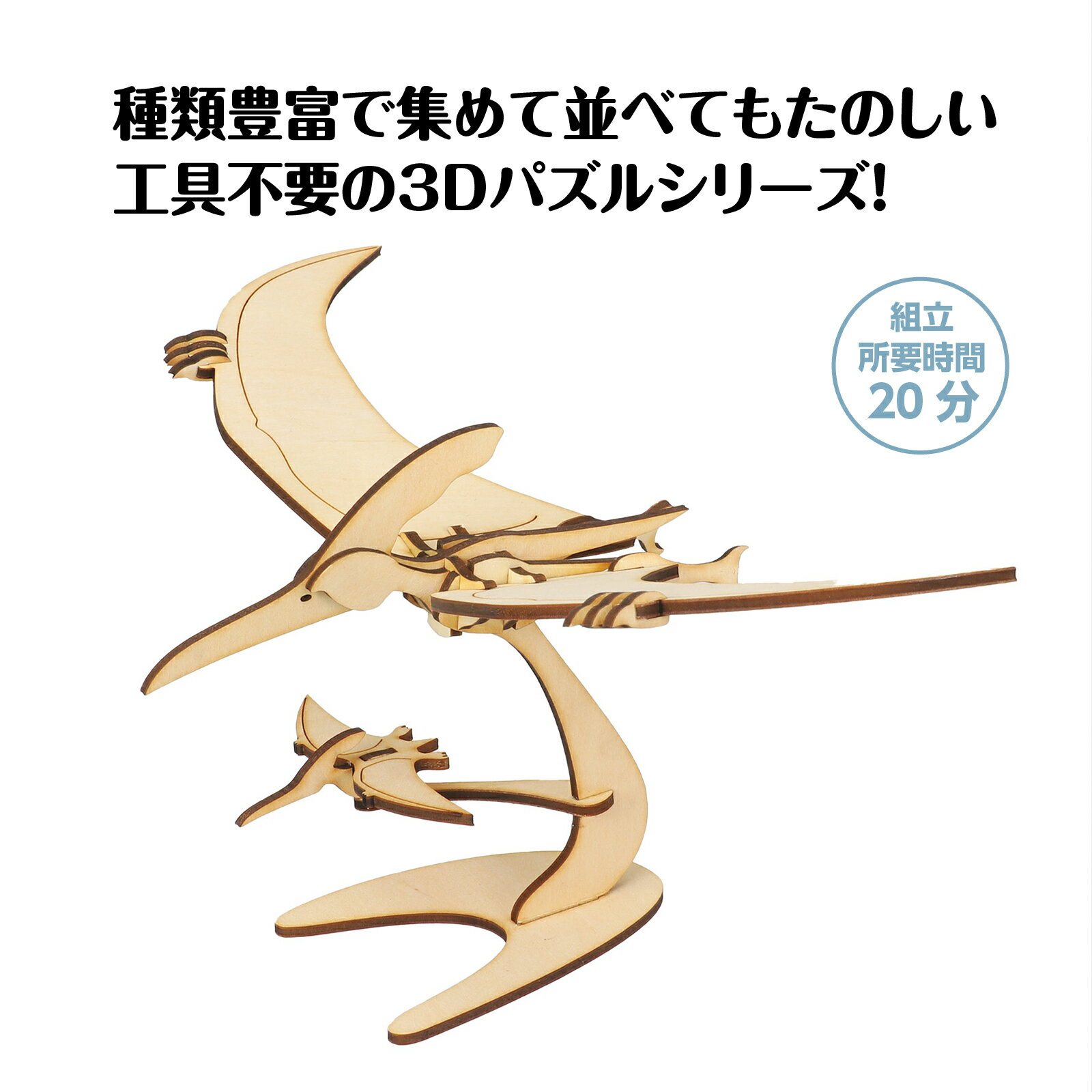 木製3Dパズル プテラノドン(12個までメール...の紹介画像2