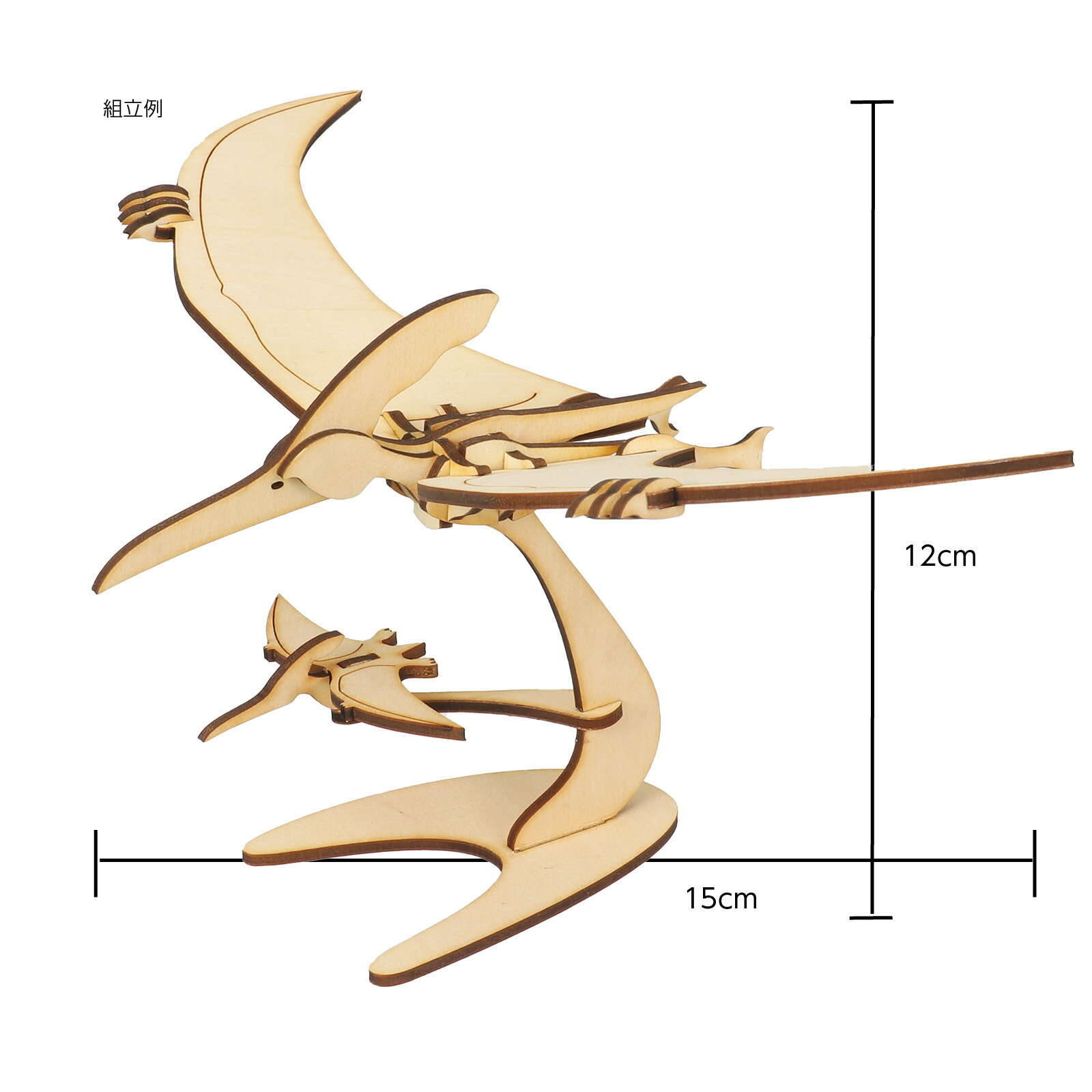 ����3D�ѥ��� �ץƥ�Υɥ�(12�Ĥޤǥ᡼���ز�)�����ƥå� ��� ������� �ѥ��� ưʪ �ݰ�� ���ձ� �Ļ� �Ҥɤ� ��ε