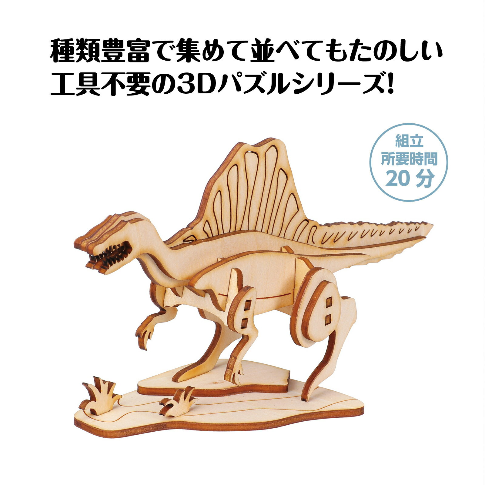 木製3Dパズル スピノサウルス(12個までメー...の紹介画像2