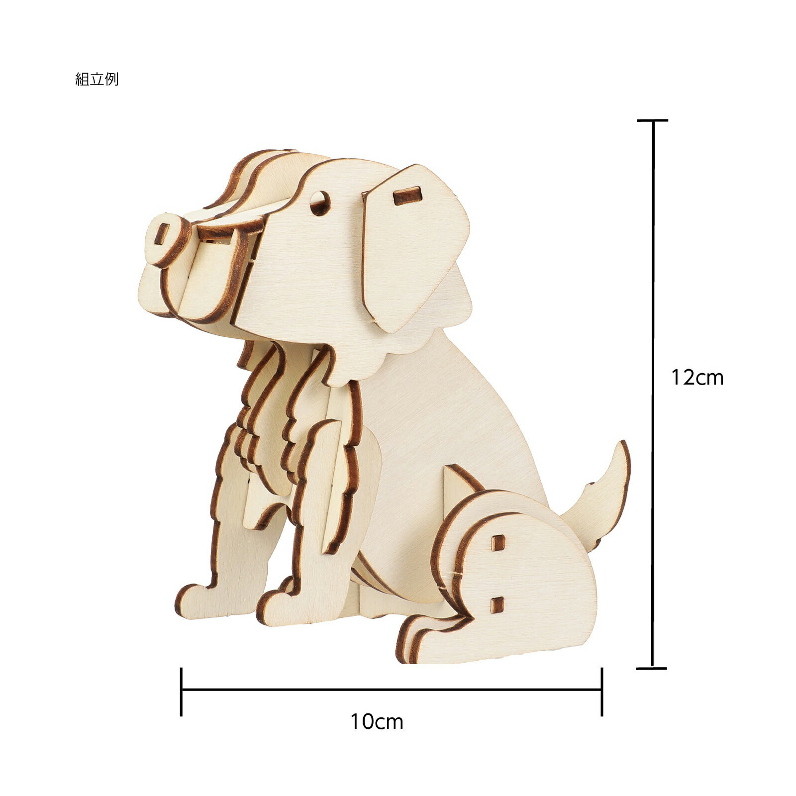 ����3D�ѥ��� ��ȥ�С�(12�Ĥޤǥ᡼���ز�)�����ƥå� ��� ������� �ѥ��� ưʪ �ݰ�� ���ձ� �Ļ� �Ҥɤ� ��