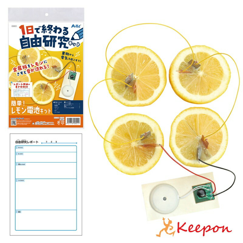 1日で終わる自由研究キット簡単！レ...