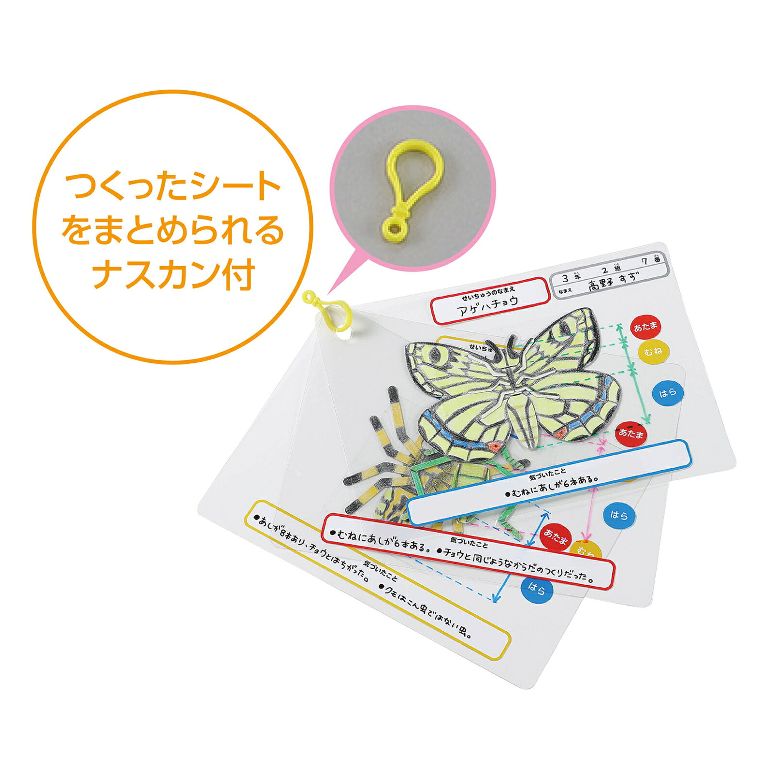 昆虫観察図鑑づくり　(メール便) 　昆虫観察 図鑑づくり 観察ノート 生き物 記録 ...