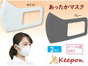 あったかマスク 2枚入(ネコポス可) アーテック マスク 洗える 白 大人用 男女兼用 対策 秋 冬 洗濯 冬用 暖かい グレー ポリエステル製