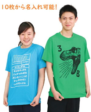 名入れ専用 ライトウェイト Tシャツ 無地 11色から選択アーテック 応援 運動会 体育祭 学校 イベント 安い チーム クラス 子ども 大人 オリジナルTシャツ