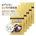 タモギダケ しいたけ菌糸体 アガリクス まとめ買い きのこ習慣(5袋セット)| 6種のきのこ まいたけ マイタケ ヤマブシタケ タモギダケ mxフラクション MDフラクション ベータグルカン βグルカン