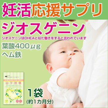 山芋習慣（124粒入/約1ヶ月分）DHEA 似た ジオスゲニン 基礎体温 赤ちゃん エイジングケア シスチン 妊婦 葉酸 鉄分 ヘム鉄 健康食品 サプリメント 乳酸菌 酵母 国産 山芋 アミノ酸 含流アミノ酸 ギフト プレゼント 人気 健康