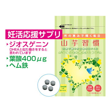 山芋習慣（124粒入/約1ヶ月分）DHEA 様物質 ジオスゲニン 基礎体温 赤ちゃん エイジングケア シスチン 妊婦 葉酸 鉄分 ヘム鉄 健康食品 サプリメント 乳酸菌 酵母 国産 山芋 アミノ酸 含流アミノ酸 無添加 プレゼント 人気 健康