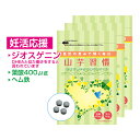 まとめ買い 5%OFF 3袋セット 妊活 応援 サプリ 山芋習慣 | 葉酸 時期別 妊娠前 ヘム鉄 乳酸菌 DHEA 様物質 ジオスゲニン 山芋 アミノ酸 含流アミノ酸 酵母 基礎体温 赤ちゃん エイジングケア シスチン