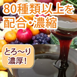 まとめ買い 甕仕込濃縮酵素 幸寿 5本セット（100g×5本/ペースト）非加熱 酵素 生 活性 エンザイム ダイエット 濃縮 サプリメント enzyme 置き換えダイエット 万 酵素ドリンク 無添加 健康食品 ファスティング 断食 野草酵素 野草