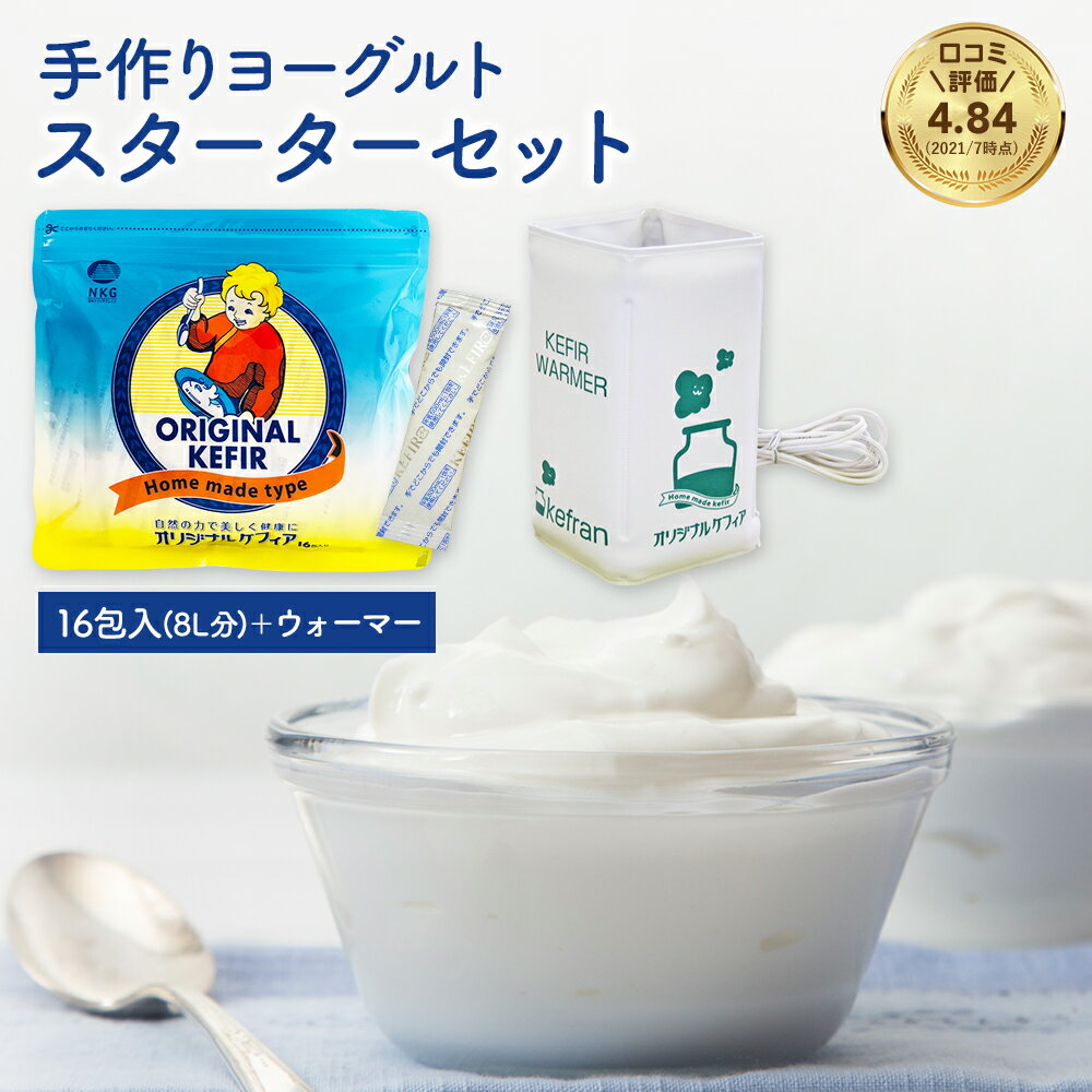 恵 ガセリ菌 SP株 ヨーグルト アロエ 100g×12個【クール便配送】