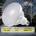 【CE RoHS PSE認証】 PAR56型 50w形 全光束 高輝度 10000lm 高天井用LED照明 LEDスポットライト500W型水銀灯交換用 省エネルギー E39通用口金 IP65 防雨防水 無騒音 高演色性 Ra85 無輻射 無チラつき 防虫 看板照明 屋内屋外 工場用 作業灯用 大型屋外看板 1年保証