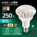 ≪期間限定特価≫ 新型 PAR38LED水銀灯 LEDランプ バラストレス水銀灯 25W led E26口金 50000H長寿命 LED電球 投光器 IP65防水防塵 看板照明 室内外兼用 照射角140度 密閉形器具対応 レフ電球 led レールスポットライト 広配光タイプ 天井照明 工場灯 看板照明 看板灯