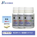 ニューサイエンス カラダがヨロコブ亜鉛 カプセルタイプ 21g(350mgx60カプセル) 60カプセル入り 約2ヵ月分 3個セット
