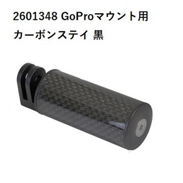 TNi ティーエヌアイ GoProマウント用 カーボンステイ 黒 2601348