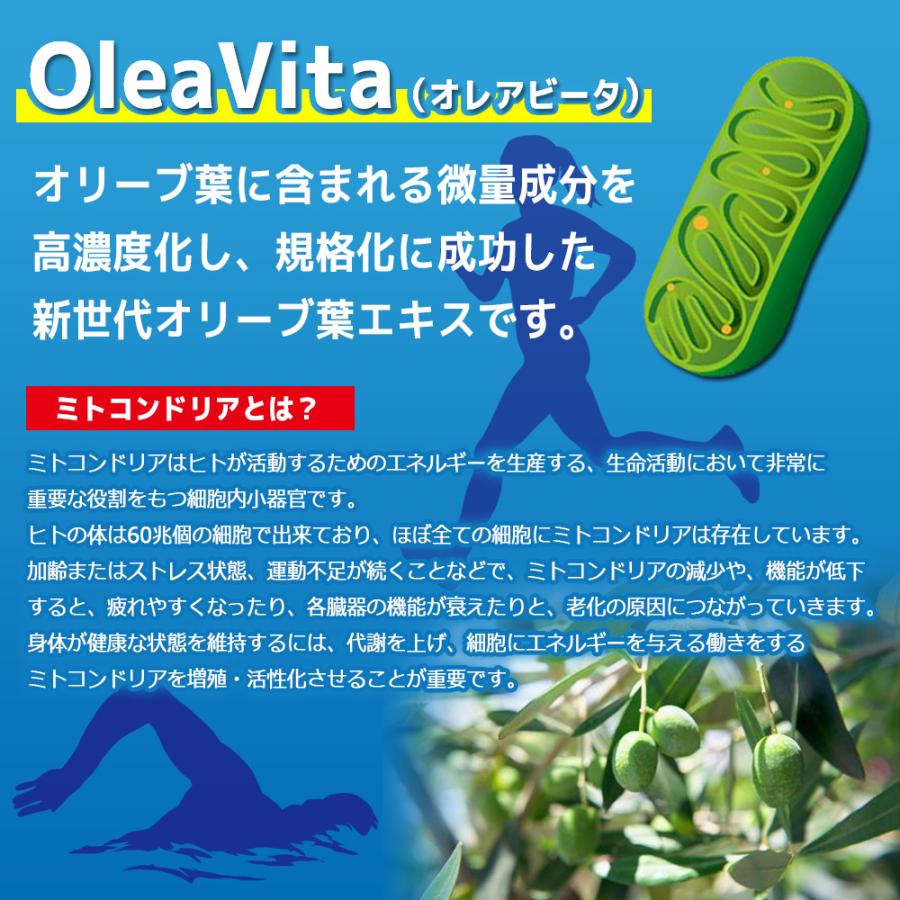 極上 ミトロング-V　1日4粒で 30日分