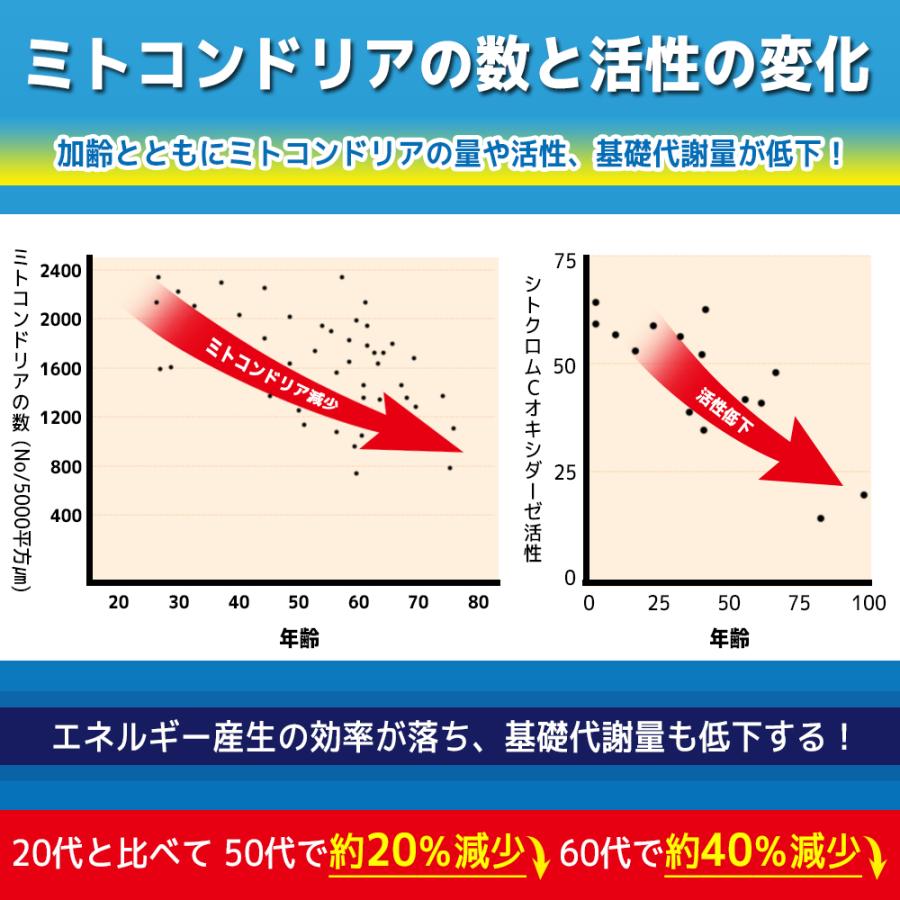 極上 ミトロング-V　1日4粒で 30日分