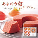 【4日20時~★最大P10倍】ギフト 内祝い OCEAN&TERRE あまおう苺バームクーヘン&Premiumフルーツゼリー A563|結婚内祝い 出産内祝い お祝い お礼 お返し 引き出物 ご挨拶 誕生日 敬老の日 2025
