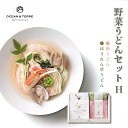 【マラソン限定★P5倍】うどん ギフト OCEAN&TERRE 野菜うどんセットH A555|結婚内祝い 出産内祝い お祝い お礼 お返し 引き出物 ご挨拶 快...