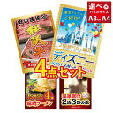 【ポイント10倍!27日迄】景品 パネル 目録 4点セット ディズニー ディズニーチケット ペアチケット 松阪牛 肉 北海道 味噌ラーメン ラーメン 景品 目録...