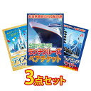 景品 パネル 目録 3点セット 体験 ペアチケット クルージング クルーズ ランチ ディズニー ディズニーリゾート ディズニーシー 富士急 ビンゴ 結婚式 二次...