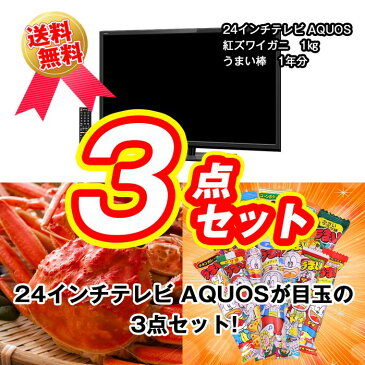 【ポイント20倍】【送料無料】【あす楽】 目録景品セット《24インチテレビが目玉の3点セット》24インチテレビ／釜茹で紅ズワイガニ1kg／うまい棒＜目録・A4パネル付＞ 二次会 結婚式 ビンゴ ゴルフ コンペ 忘年会