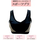 カップ付き スポーツブラ ブラック 3サイズ展開 T2000000072180 【訳あり】【当店おすすめ】