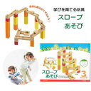 SH-100 スロープあそび T-4977693225750 木製 知育玩具 玉転がし ピタゴラスイッチ系 ブロック 組み立て玩具 3歳以上 室内遊び ギフト ...