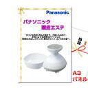 景品 目録 パネル ビンゴ パナソニック頭皮エステA3景品パネル&引換券付き目録 (toue117) 結婚式 ゴルフコンペ イベント 抽選会