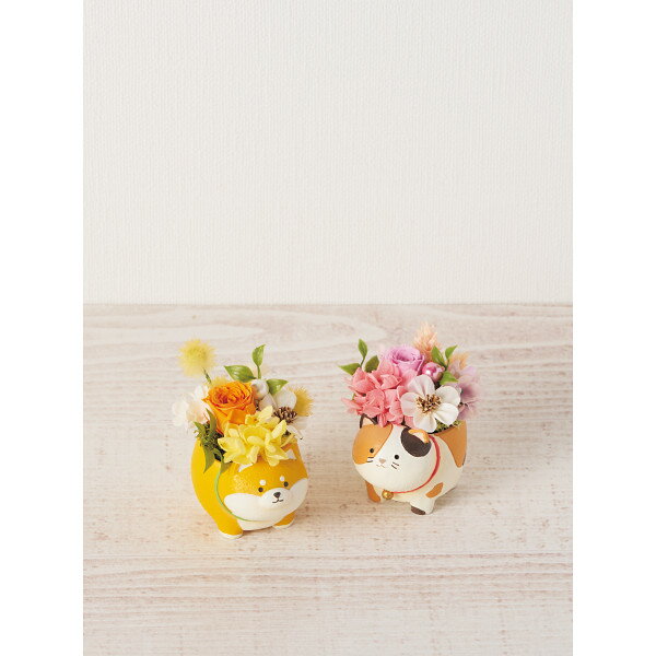 アニマルプリザ(プリザーブドフラワー) 花ギフト プレゼント お祝い 誕生日 母の日 退職祝い