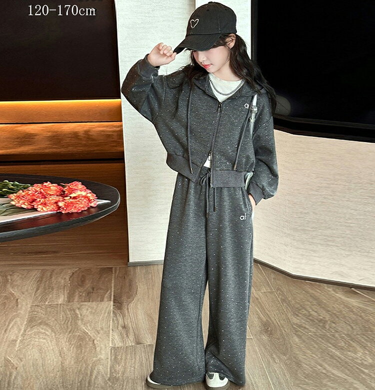 樂天商城 - 韓国子供服 女の子 女の子 パーカー 子供 ロングパンツ キッズ セットアップ 上下 2点セット 子供セット 上下セット トレーナー + パンツ 子供服 スウェット ダンス衣装 運動服 体操着 運動会 演出 高品質生地 七五三 春 秋