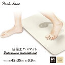 パークレーン ParkLane 珪藻土バスマットM IV【アスベスト不使用 検査確認済】速乾 吸水 抑臭 お手入れ簡単