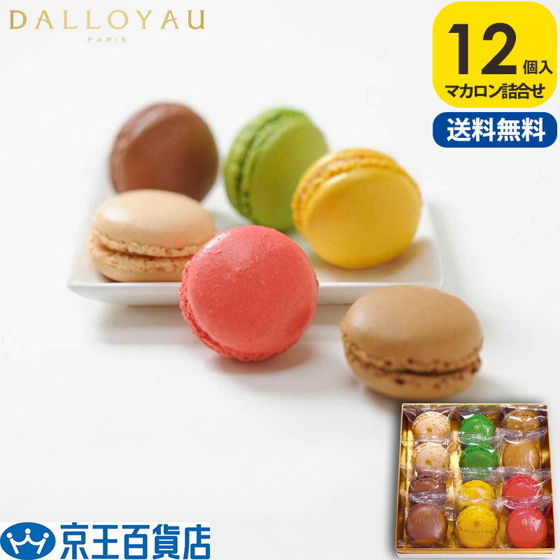 ダロワイヨ マカロン 送料無料 /【産直】ダロワイヨ マカロン詰め合わせ 12個入