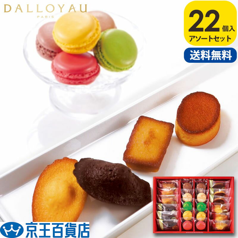 ダロワイヨ マカロン 送料無料 /【産直】ダロワイヨ マカロンドゥミセック詰め合わせ 大