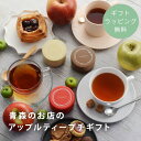 【ギフトラッピング無料】 コノハト茶葉店 ティーギフト 紅茶ギフト おしゃれ 内祝い アップルティー フレーバーティー 贈り物 ギフト プチギフト てのひらギフト ／青森のお店のアップルティープチギフト