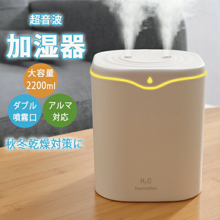 超音波加湿器 卓上 ダブルノズルポータブル 卓上加湿器 次亜塩素酸水対応 2200ml大容量 2種類加湿モード 空焚き防止 水漏れ防止 静音 保湿 USB給電式 暖房乾燥/花粉症対策 寝室 子供部屋 お手入れ簡単 オフィス