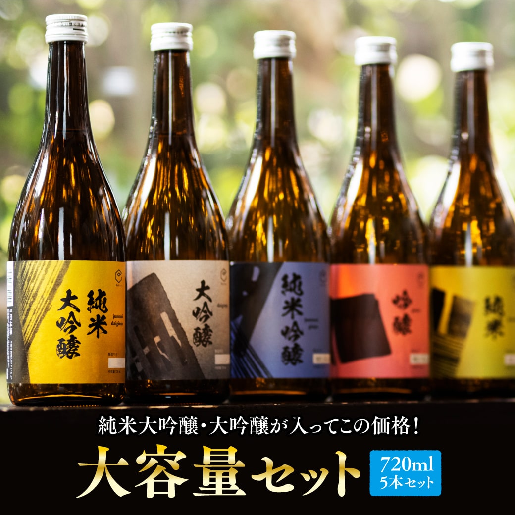  受賞蔵 プレゼント ギフト お酒 日本酒 飲み比べ 飲み比べセット 家飲み あす楽 送料無料 贈り物 純米大吟醸 大吟醸 純米吟醸 大容量セット 720ml×5本